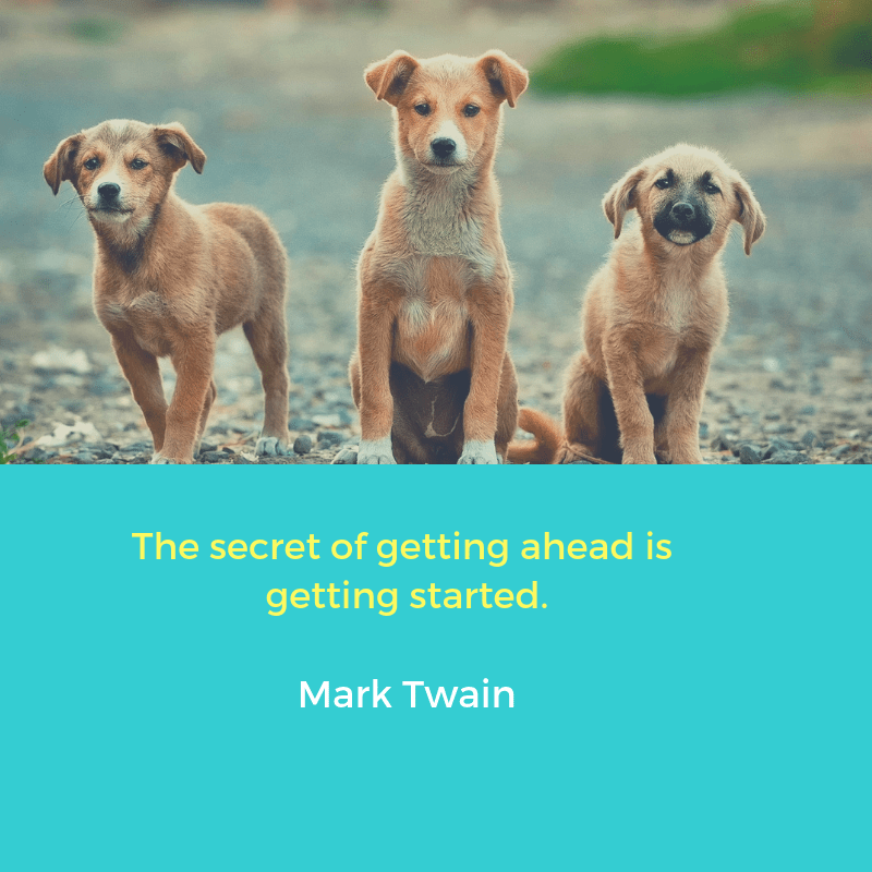 the secret of getting ahead is getting started. read more at_ https___www.brainyquote.com_quotes_mark_twain_118964_src=t_motivational